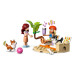 LEGO Конструктор LEGO Friends Собачі пригоди на серфі та скутері (42641)