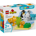 LEGO Конструктор LEGO DUPLO Town Сімейства диких тварин: Пінгвіни та Леви (10442)