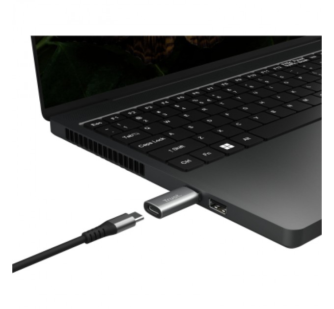 Trust Перехідник USB-C to USB-A 3.2 Adapter 2-Pack Trust (25573_TRUST)