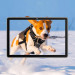 BeCover Скло захисне BeCover Blackview Tab 70 WiFi 10.1" (712823)