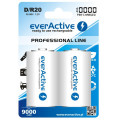 everActive Аккумулятор everActive D/HR20 10000mAh BL 2шт