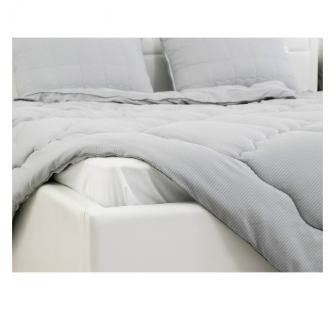 Руно Ковдра Руно силіконізованим волокном 200х220 (322.52_Soft Line)