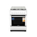 Ardesto Плита Ardesto FSC-F6060AW