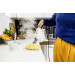 Karcher Пароочищувач Karcher SC 1 Multi (1.516-404.0)