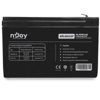 Аккумуляторная батарея Njoy GGPL09122F 12V 9AH (BTVACIUOCTA2FCN02B) AGM