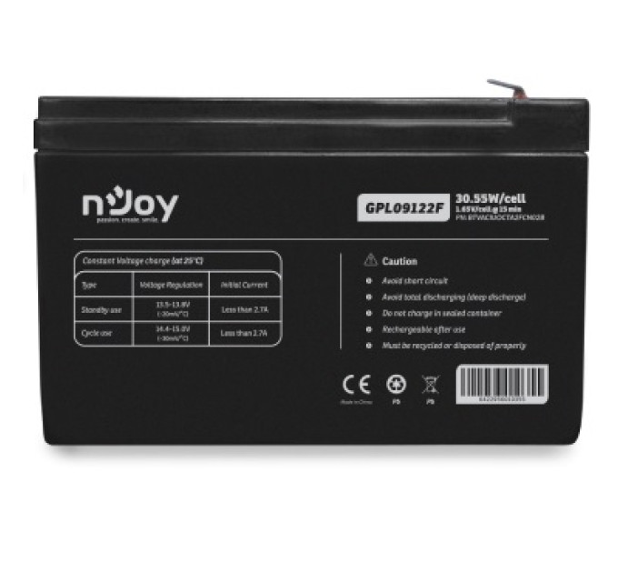 nJoy Аккумуляторная батарея Njoy GGPL09122F 12V 9AH (BTVACIUOCTA2FCN02B) AGM