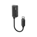 Remax Адаптер Remax RL-LA02i Enjoy 2in1 Lightning-2 Lightning, 12см, Black (6954851297994)