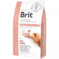 Brit GF VetDiets Сухий корм для собак Brit GF VetDiets Dog Renal 2 кг (8595602528196)