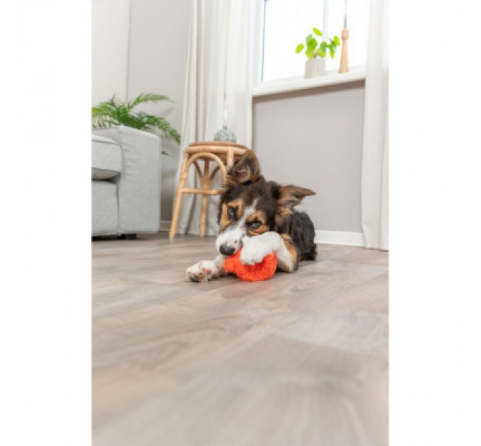 Trixie Іграшка для собак Trixie Лисиця з ефектом пам'яті 11 см помаранчева (4047974360217)