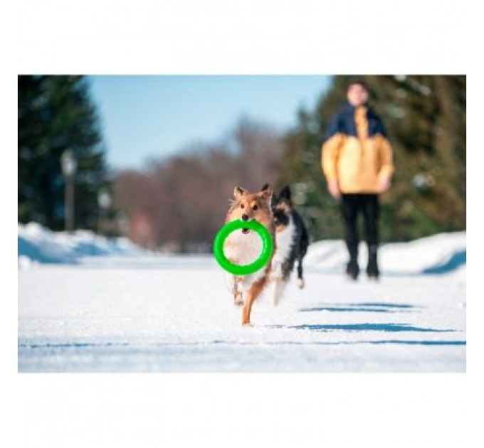 Collar Іграшка для собак Collar PitchDog Кільце для апортування 17 см салатове (62365)