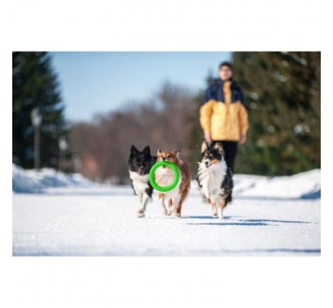 Collar Іграшка для собак Collar PitchDog Кільце для апортування 17 см салатове (62365)