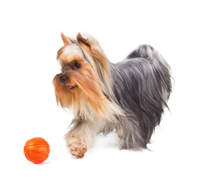 Liker Іграшка для собак Liker М'ячик 5 см (6298)