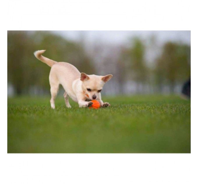 Liker Іграшка для собак Liker М'ячик 7 см (6294)