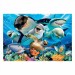 Educa Пазл Educa Підводне селфі 500 елементов (6425285)