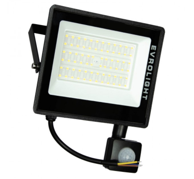 EVROLIGHT Прожектор EVROLIGHT FM-01D-50 50W 6400К