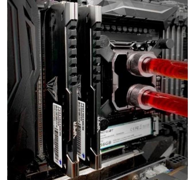 Patriot Модуль пам'яті для комп'ютера DDR4 16GB (2x8GB) 3600 MHz Viper Steel Patriot (PVS416G360C7K)