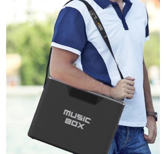 HIFuture Акустична система HiFuture MusicBox 100W Silver (musicbox.silver)