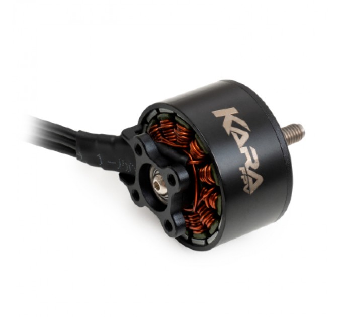 KaraFPV Двигун для дрона KaraFPV 3115 900KV (1I20034)