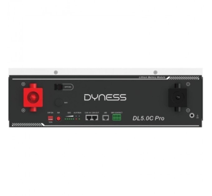 Dyness Батарея LiFePo4 Dyness DL5.0C Pro 51.2V - 100Ah (DL5.0C Pro)