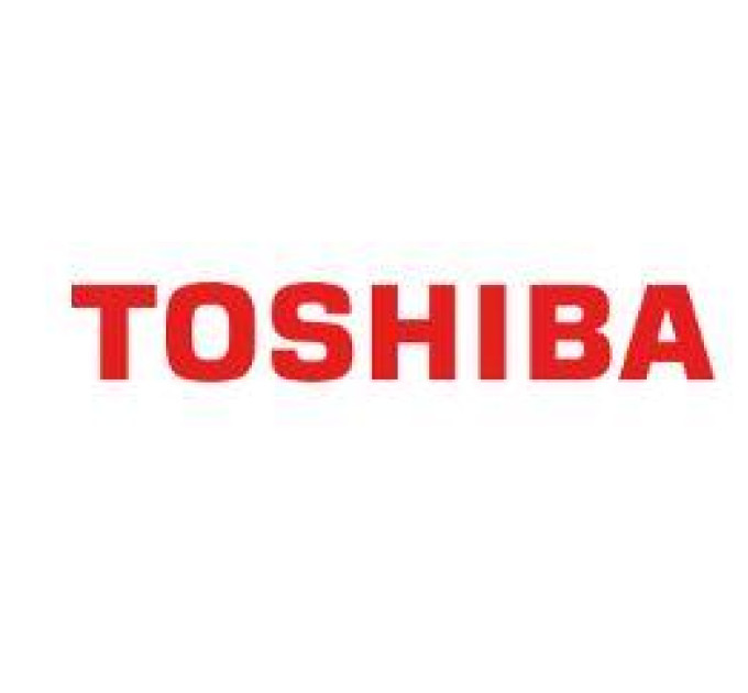 Toshiba Гальмівний майданчик HOLD PAD 6LJ75294000 TOSHIBA