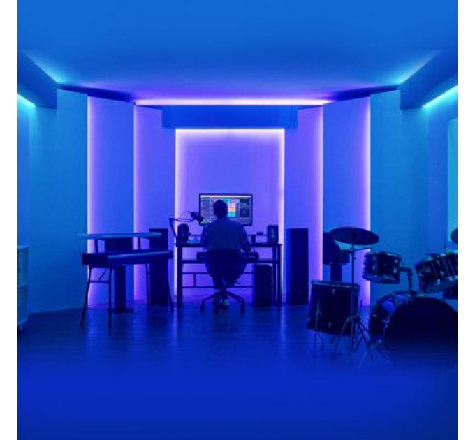 Govee Світлодіодна стрічка Govee RGBIC Basic Wi-Fi + Bluetooth LED Strip Light 5м Білий (H618A3D1)