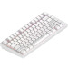 Dark Project Клавіатура Dark Project ALU81 Terra Nostra PBT RGB Mech G3MS Moonstone White (DPKB_NOSTRA_81_ANSI_WHITE_UA)