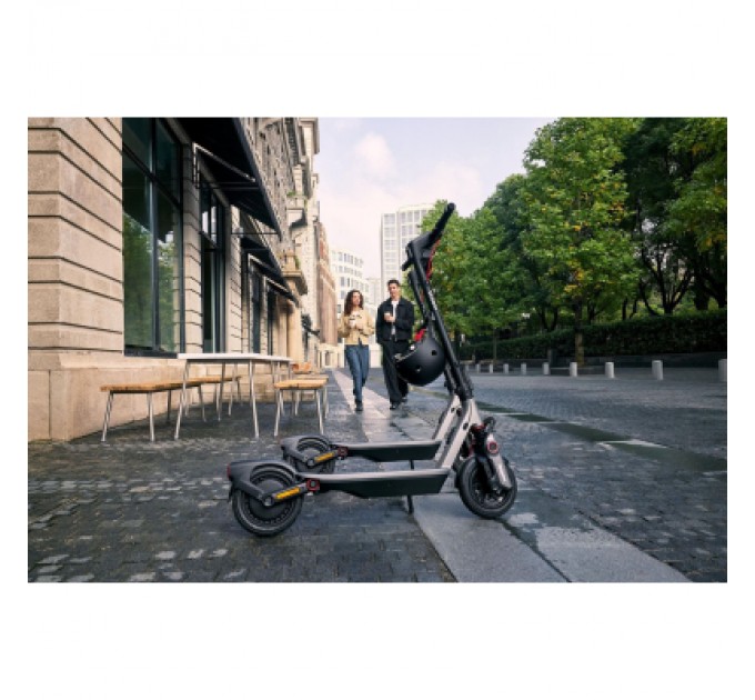 Segway Електросамокат Segway F3 E сірий (AA.05.17.01.0005)