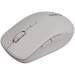 Canyon Мишка Canyon MW-12 Wireless/Bluetooth Grey (CNS-CMSW12DG)