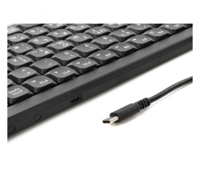 A4Tech Клавіатура A4Tech FX53 USB UA Black (4711421002394)