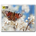 Pod Mishkou Килимок для мишки Pod Mishkou Весна-Метелик