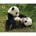 Pod Mishkou Килимок для мишки Pod Mishkou Панди