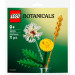 LEGO Конструктор LEGO Botanicals Польові квіти (30701)