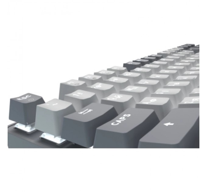 GamePro Клавіатура GamePro Genesis Metallic MK110G Outemu Red Switch USB UA Gray (MK110G)