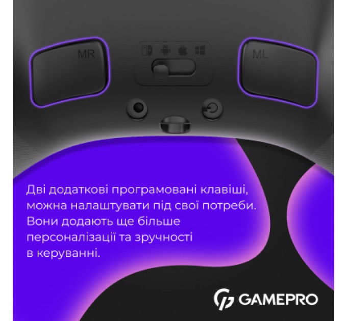GamePro Геймпад GamePro із зарядною станцією BT 5.3/USB/2.4 ГГц (Switch/PC/iOS/Android) RGB Black (GPX13BDOC)