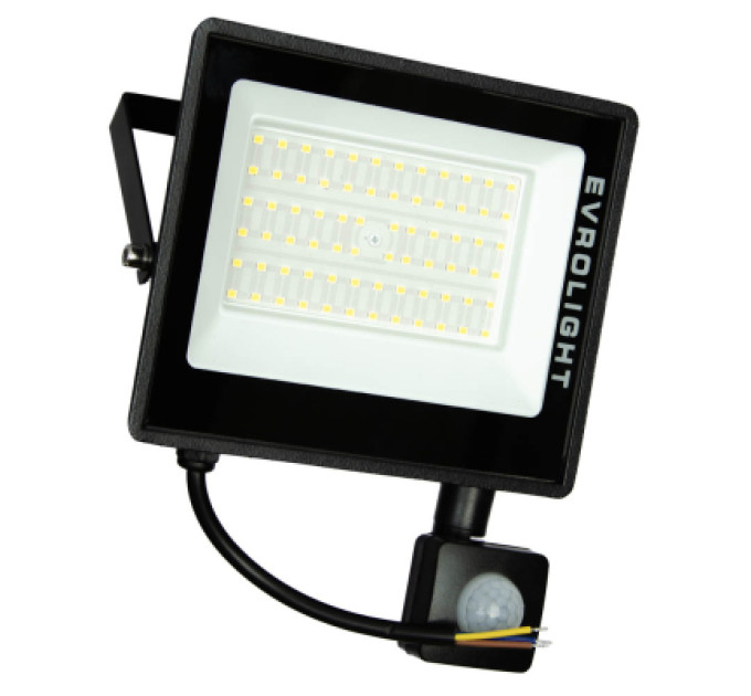 EVROLIGHT Прожектор EVROLIGHT FM-01D-50 50W 6400К