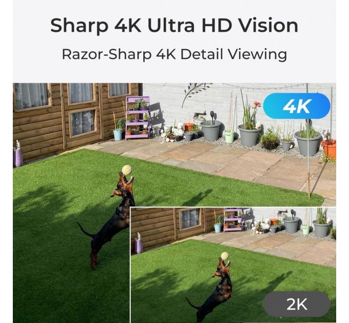 Reolink IP камера Reolink P850 (RLC-823A 16X)