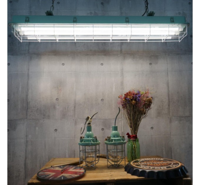 EVROLIGHT Лампочка EVROLIGHT L-1500 6400K 24Вт G13 T8