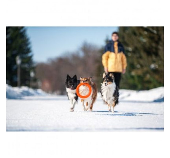 Collar Іграшка для собак Collar PitchDog Кільце для апортування 17 см помаранчеве (62364)