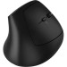 Canyon Мишка Canyon MW-25 LED Silent Wireless/Bluetooth Black (CNS-CMSW25)
