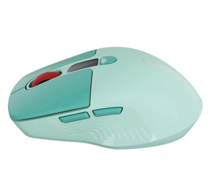 Canyon Мишка Canyon MW-26 LCD Silent Wireless/Bluetooth Green (CNS-CMSW26GR)