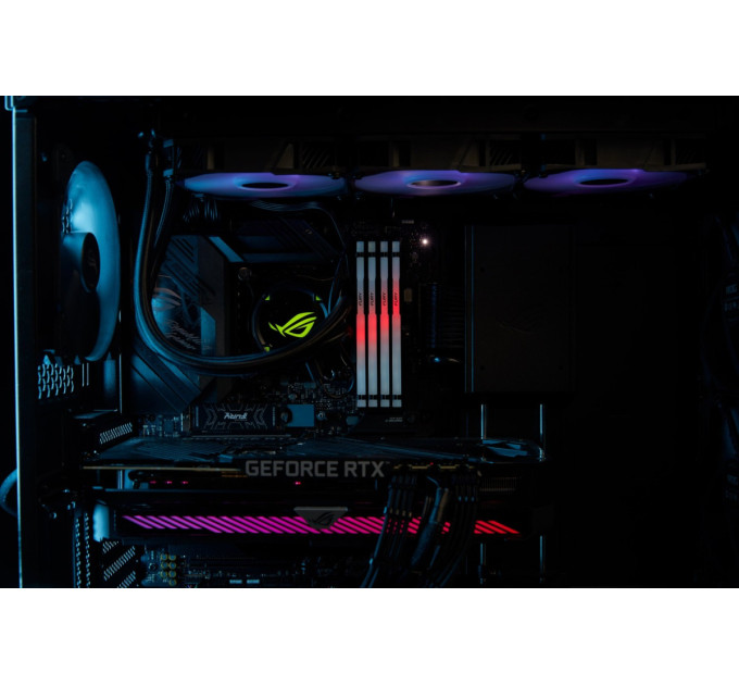 Kingston Модуль пам`яті DDR5 32GB/5600 Kingston Fury Beast RGB Black (KF556C36BBE2A-32)