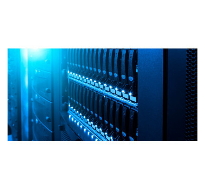 WESTERN DIGITAL Жорсткий диск 3.5" 6TB WD (WD6004FRYZ)