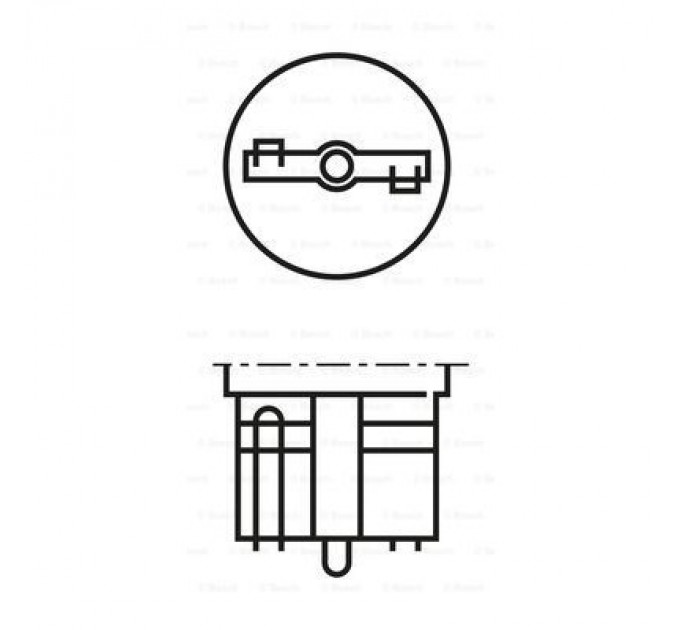 Bosch Автолампа Bosch 21W (1 987 302 249)