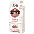 Brit Fresh Сухий корм для собак Brit Fresh Beef/Pumpkin Puppy Large 2.5 кг (8595602530762)