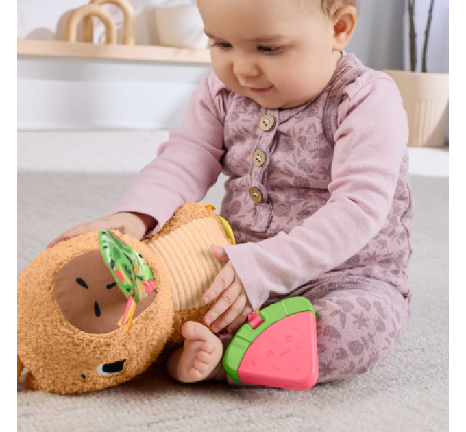 Fisher-Price Розвиваюча іграшка Fisher-Price Капібара (HYR54)