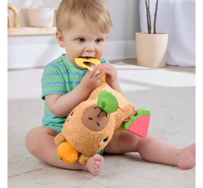 Fisher-Price Розвиваюча іграшка Fisher-Price Капібара (HYR54)