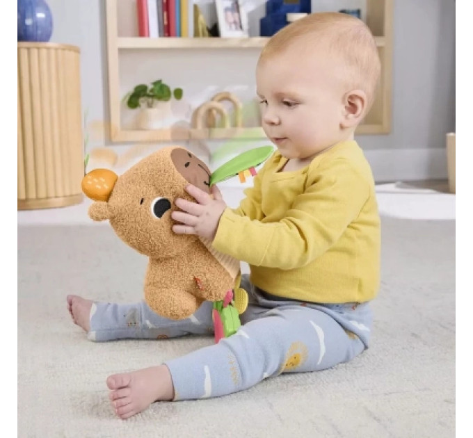 Fisher-Price Розвиваюча іграшка Fisher-Price Капібара (HYR54)