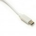 PowerPlant Перехідник PowerPlant USB Type C -> RJ45, 12см (DV00DV4067)