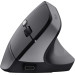 Trust Миша бездротова Trust Bayo II Ergonomic Black (25145)