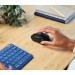 Trust Миша бездротова Trust Mydo Silent Wireless Black (25084)